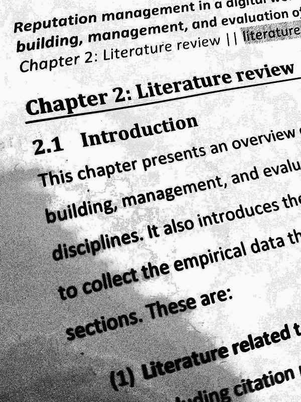My Thesis The Literature Review Frances Ryan PhD